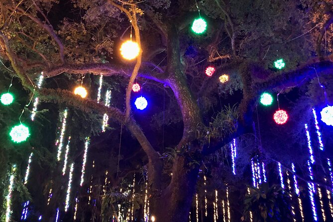 Flamingo Gardens Garden of Lights - Nearby Attractions and Dining Options
