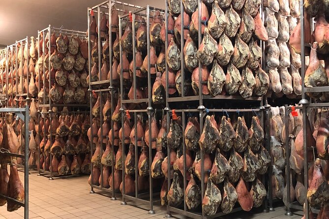Food Excellences:Prosciutto, Parmigiano, Balsamic,Lunch,Transport - Traveler Feedback and Experience