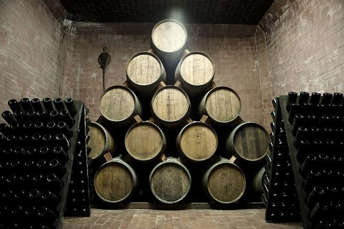 Food Tour: Parmigiano, Balsamic, Red Wine, Lunch,Transport - The Sum Up