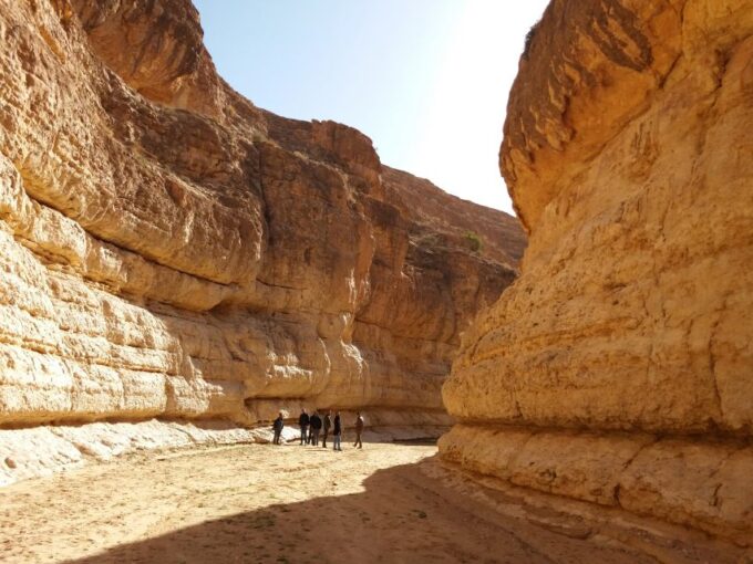 From Djerba: 2-Day Tour of Tozeur and Mountain Oasis - Customer Feedback