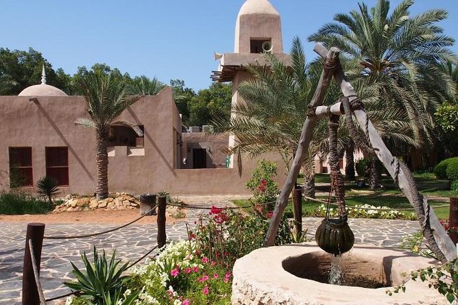 From Dubai : Abu Dhabi Sightseeing Tour - Tips for Travelers