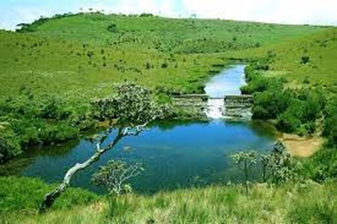From Ella : Horton Plains National Park & Nuwaraeliya Tour - Participant Selection and Date Confirmation
