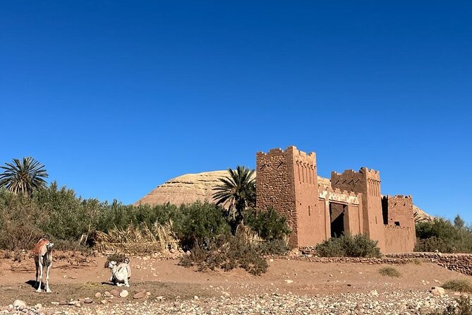 From Fes to Marrakech: 4 Day Group Tour via the Desert Merzouga - Frequently Asked Questions