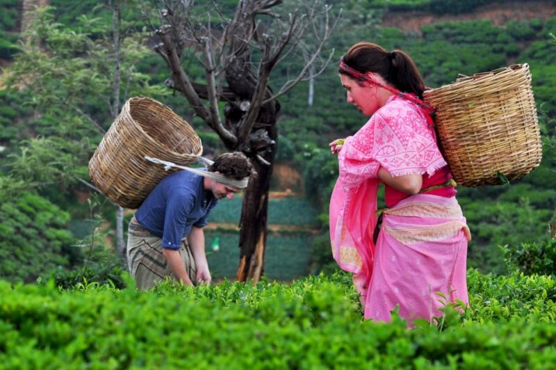 From Kandy: Nuwara Eliya & Ramboda Waterfall Day Tour by Tuk - Shri Bhakta Hanuman Temple