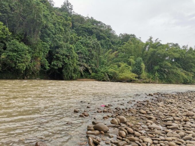 From Kota Kinabalu : Kiulu White Water Rafting Tour + Meal - Highlights of the Tour