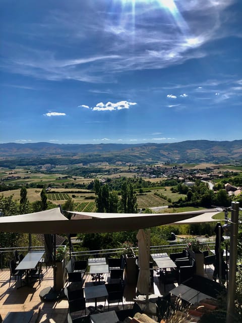 From Lyon: Oingt and Golden Stone Villages Half Day Tour - Private Transportation Experience