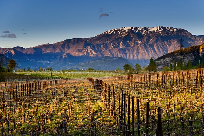 From MILAN Private Franciacorta & Amarone Valpolicella Wine Tour - Since You Asked