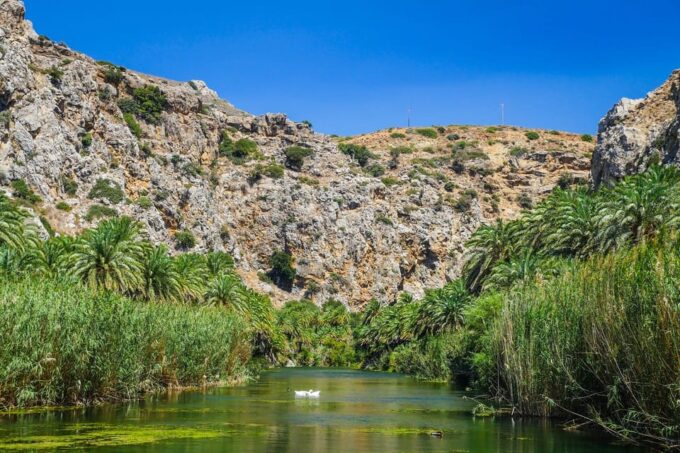 From Rethymno: Preveli Palm Forest, Damnoni and Plakias Tour - Customer Feedback