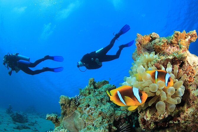 From Side, Alanya: Scuba Diving With 2 Time Dive & Lunch - Frequently Asked Questions