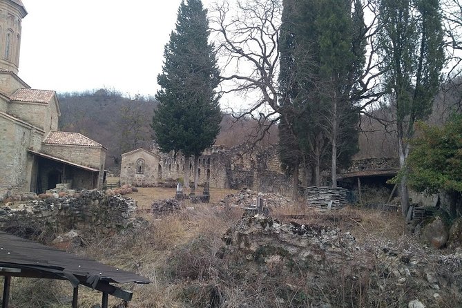 From Tbilisi : Khevsureti Day Trip (Shatili & Anatori Necropolis) - Accessibility and Participation Details