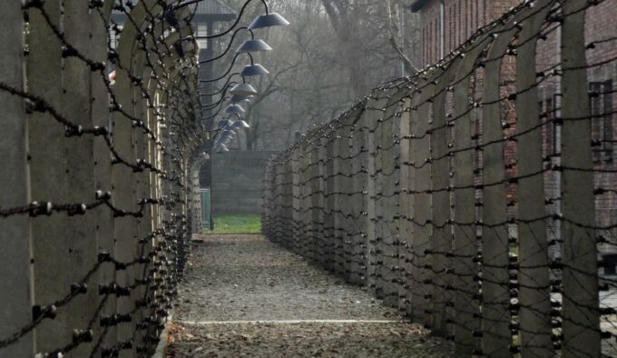 From Wrocław: Full-Day Auschwitz-Birkenau Guided Tour - What to Expect