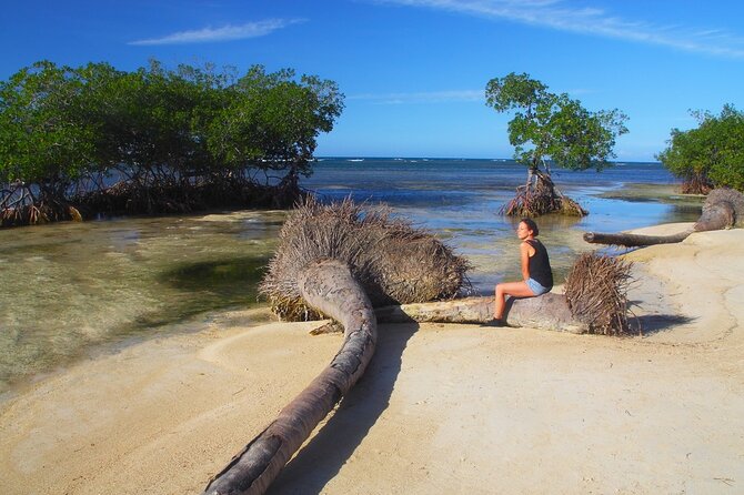 Full-Day at Los Haitises National Park - Cultural Immersion