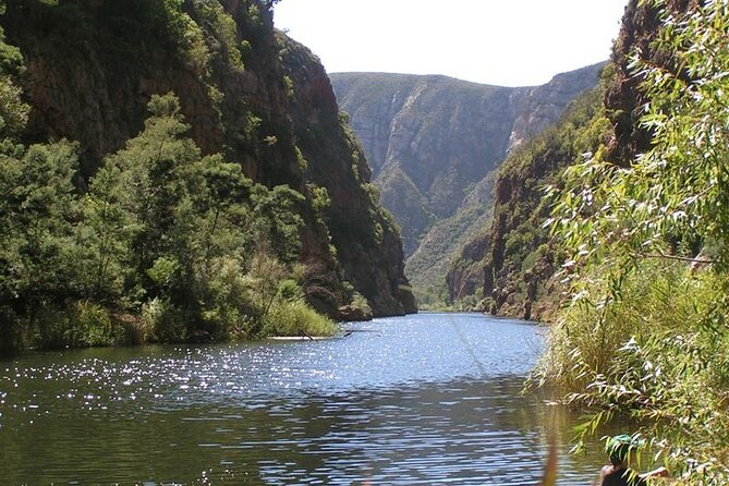 Full-Day Baviaanskloof Reserve Safari - Frequently Asked Questions
