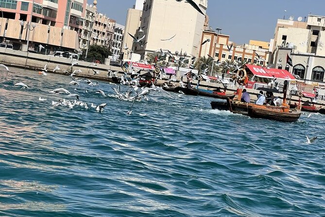 Full-Day City Tour of the Tourist Attractions and Places in Dubai - Additional Tour Highlights