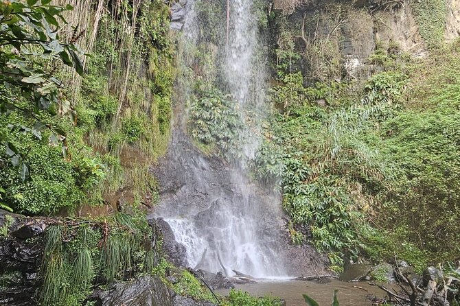 Full Day East True Mountains to Santana and Sao Vicente - Visiting Sao Vicente