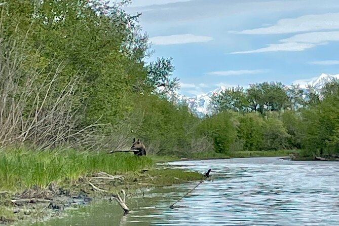 Full Day Guided Kayak Tour on Knik River - Frequently Asked Questions