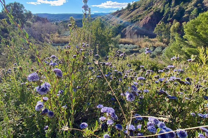 Full-Day Hiking at Ruta the Aqua Across Pena Cortada - Participant Reviews