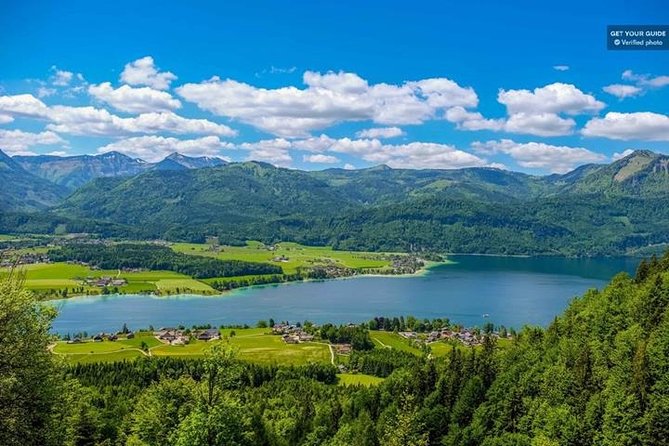 Full-Day Luxury Bus Tour From Munich - Traveler Reviews and Feedback
