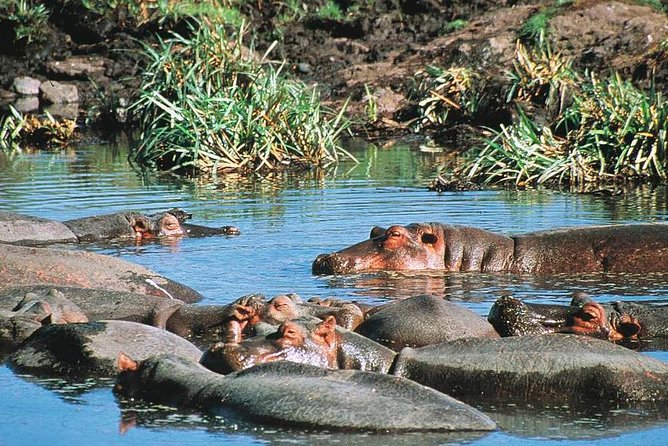 Full Day Mombasa Excursion Tour - Planning Your Mombasa Trip