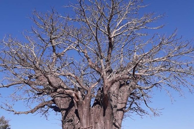 Full Day Panorama Hike and Scenic Tour Minimum 2 People - Scenic Highlights