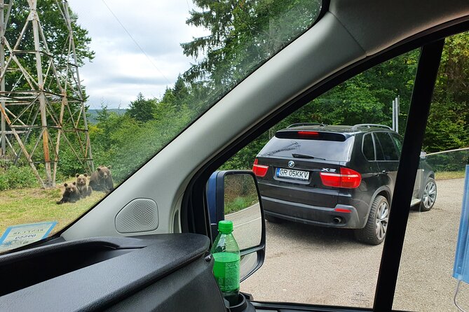 Full-Day Private Carpatian Garden With Draculas Fortress - Wild Brown Bears - Review Highlights