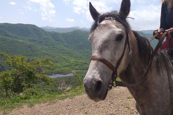Full-Day Private Guided Horseback Ride Through Dzoraget Canyon - The Sum Up