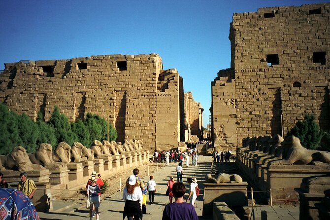 Full Day Private Guided Tour in East and West Bank Luxor - Reviews and Ratings