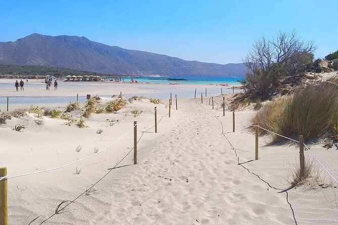 Full Day Private Minivan Tour to Elafonisi Beach and Kedrodasos - Review Highlights