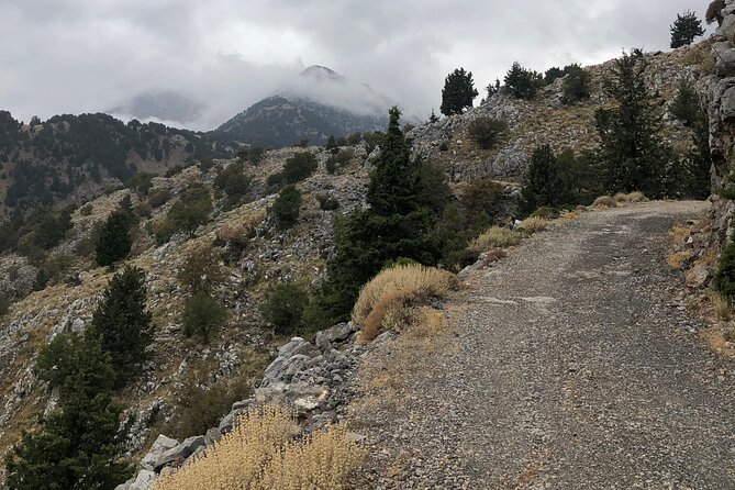 Full-Day Private Tour in Cretan Villages of Apokoronas - Navigating Scenic Landscapes