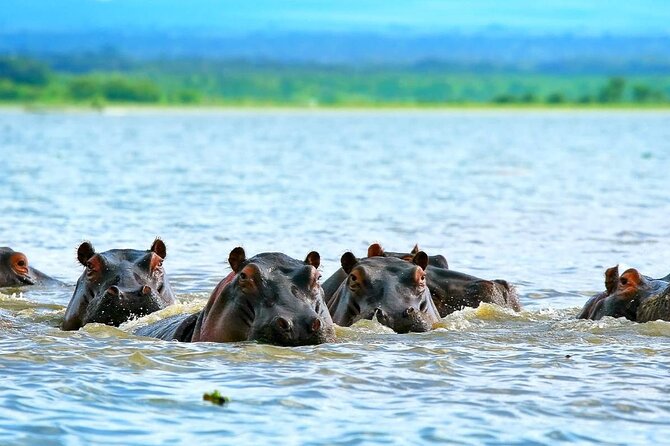 Full Day Private Tour to Hells Gate National Park From Nairobi. - Booking and Cancellation