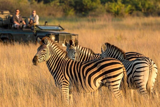 Full Day Safari From Durban to Hluhluwe-Imfolozi Game Reserve - Frequently Asked Questions