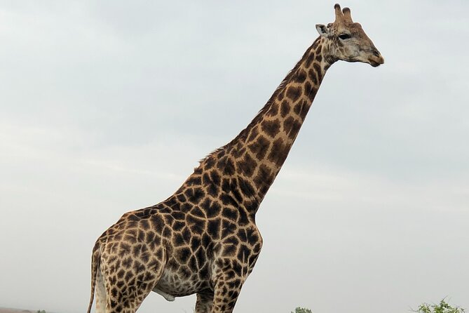 Full-Day Safari in Maputo National Park - Booking and Cancellation Policy
