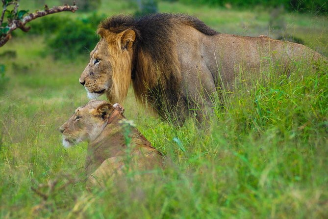Full Day Safari Tour In Addo Elephant National Park - Frequently Asked Questions