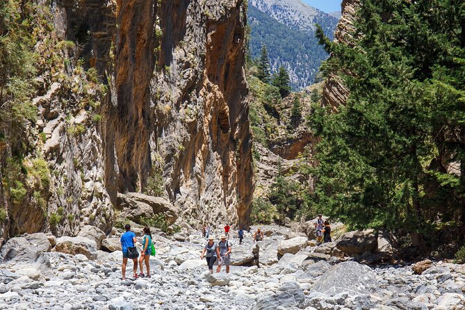Full-Day Samaria Gorge Hiking Tour From Chania - Reviews From Previous Hikers