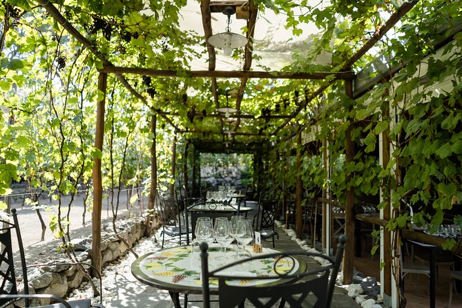 Full Day Tour in Pompei With Winery Lunch - Accessibility and Participant Requirements