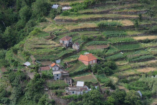 Full Day Tour in Porto Moniz With the Locals - Tips for Travelers