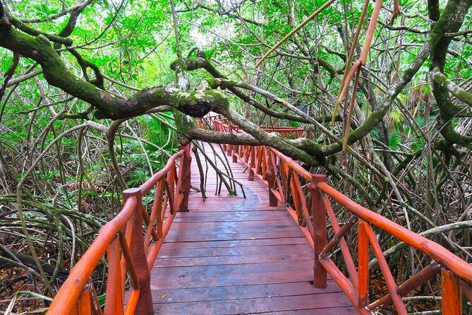 Full-Day Tour of Tulum Ruins and Cenotes With Lunch - Savoring the Mayan Cuisine