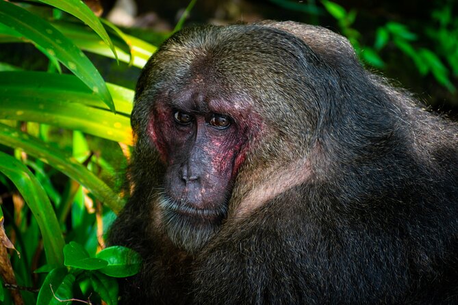 Full Day Tour to Catemaco and Los Tuxtlas With Transportation - Frequently Asked Questions