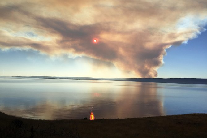 Full Day Yellowstone "The Volcano" Lower Loop West Yellowstone - Customer Reviews
