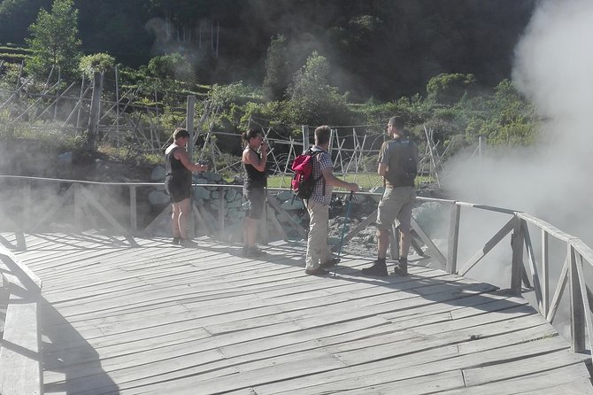 Furnas Lake Hotsprings and Gardens Van Tour - The Sum Up