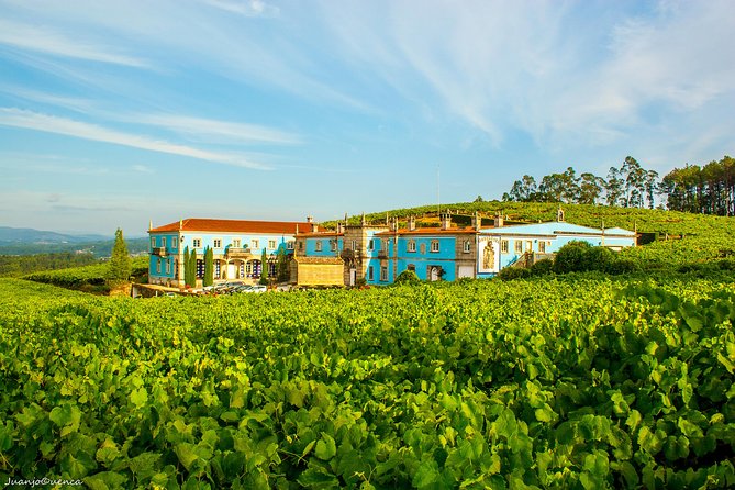 Galicia 4-day Food & Wine Private Tour - Pricing, Availability, and Reviews