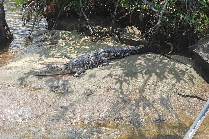 Galle & Bentota River Safari Private Tour From Beruwala Hotels - Booking Process