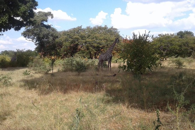Game Drive And Rhino Walk - Frequently Asked Questions