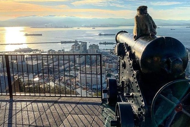 Gibraltar Sightseeing :SKYWALK AND SUSPENSION BRIDGE TOUR (Private) - Customer Reviews and Ratings