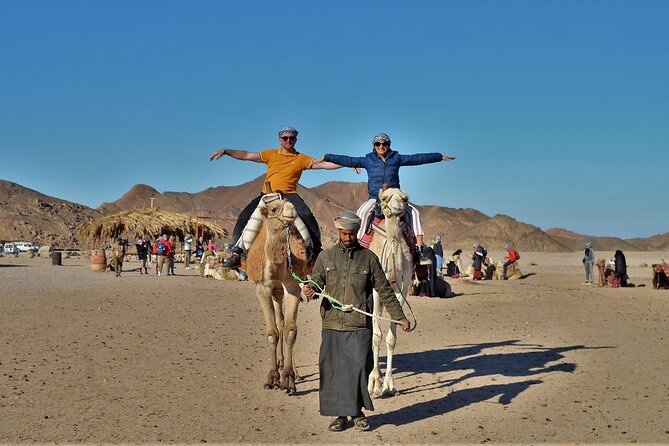 Giftun Island VIP Sea Trip Lunch on Bord and Transfer - Hurghada - Customer Reviews and Ratings