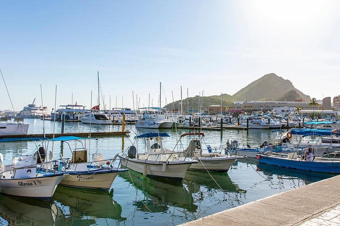 Glass-Bottom Boat Cruise in Cabo San Lucas - Sights and Attractions Visited