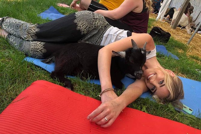 Goat Yoga and Wine Tasting - Highlights and Traveler Reviews