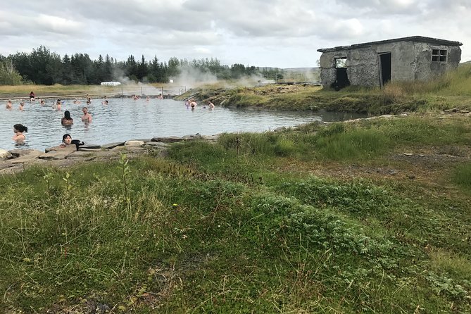 Golden Circle & Secret Lagoon & Friðheimar (Lunch Included) - PRIVATE TOUR - Customer Ratings and Reviews