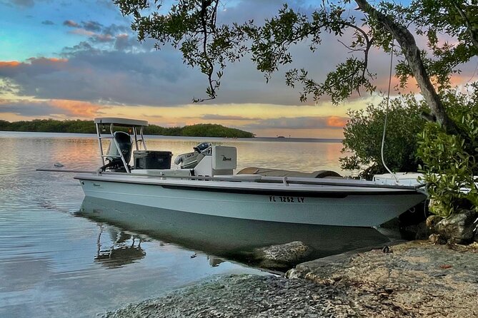 Golden Glare Fishing Charter With Experienced Captain - Sum Up