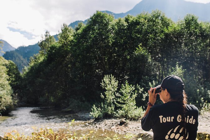 Great Bears of Bute: Grizzly Bear Viewing & Indigenous Cultural Tour - How to Book Your Tour